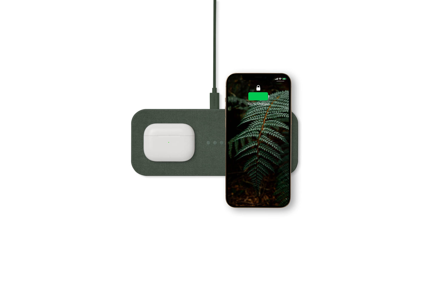 CATCH:2 - Essentials - Forest
