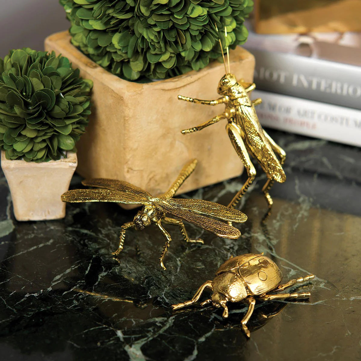 Gold Dragonfly