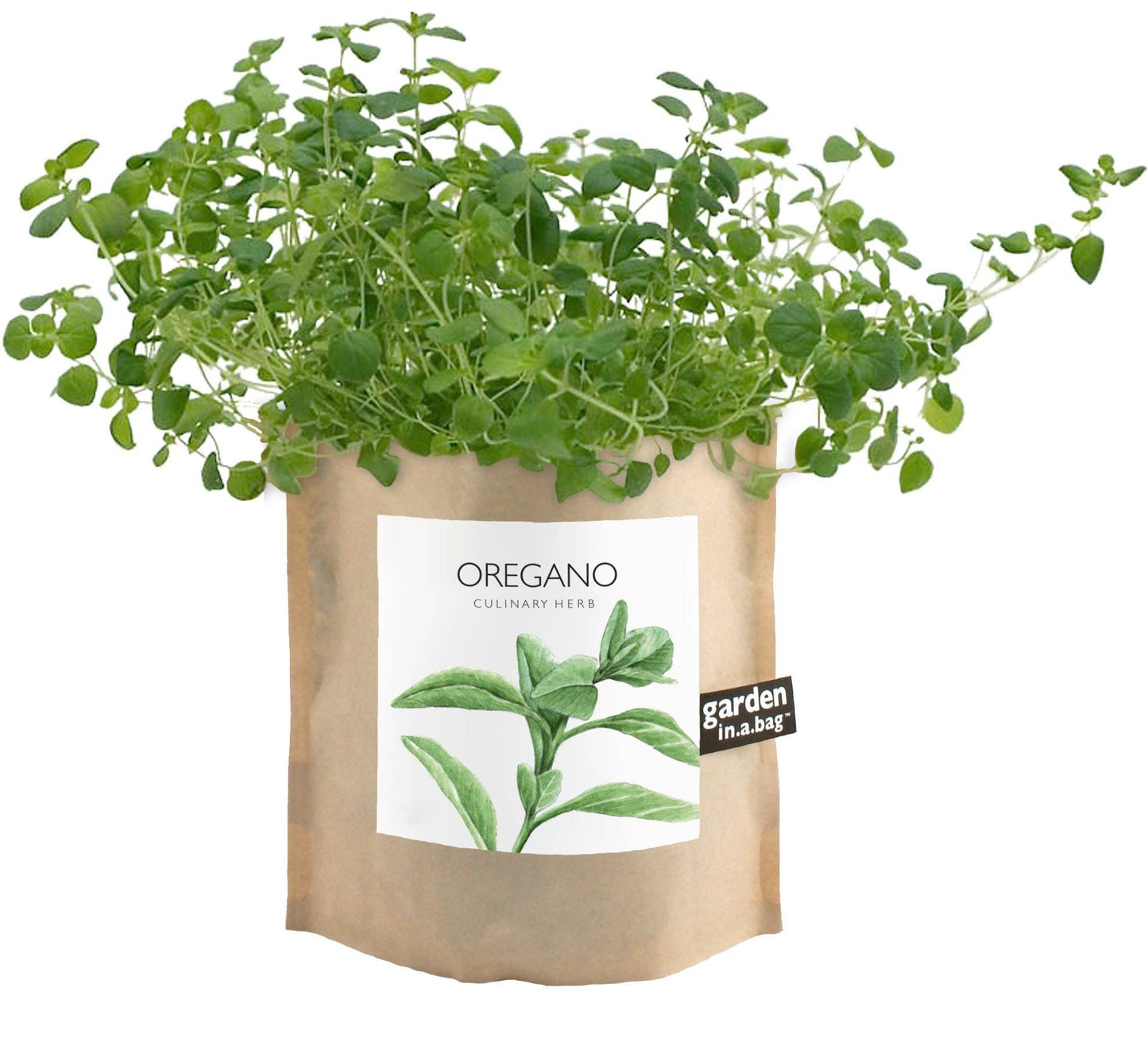 Garden in a Bag | Oregano