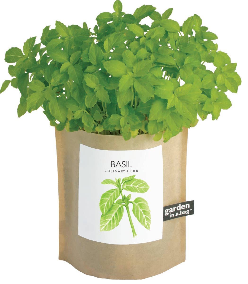 Garden in a Bag | Basil